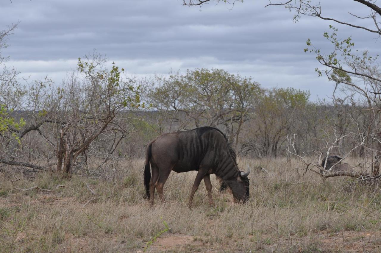 Hazyview Buffalo Game Lodge 외부 사진